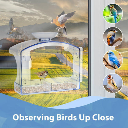 Transparentes Fenster-Vogelfutterhaus mit