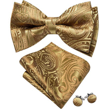 Blau Paisley Satin Fliegen Set mit Einstecktuch und