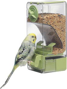 Automatischer Vogelfutterspender mit Sitzstange für verschiedene Vögel
