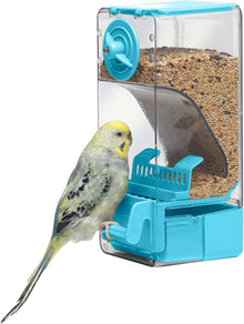 Automatischer Vogelfutterspender mit Sitzstange für verschiedene