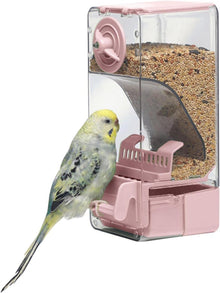 Automatischer Vogelfutterspender mit Sitzstange für Vögel