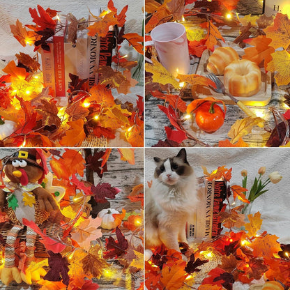 Herbst Ahornblätter Lichterkette für Herbst- und Halloween-Dekoration