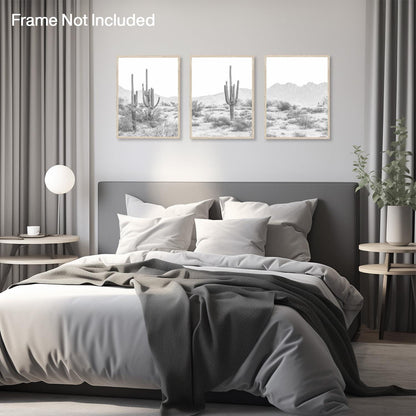 Kaktus Wüste Landschaft Poster Wanddekoration Set 12x16 in