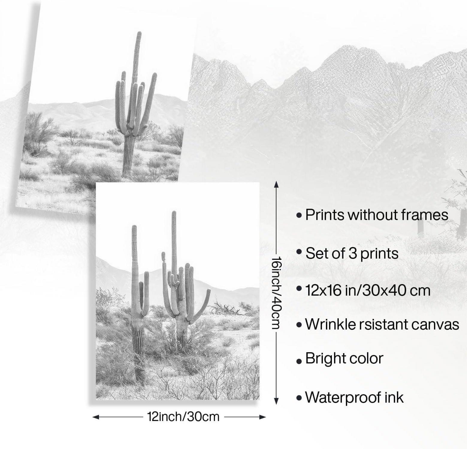NymphFable Kaktus Wüste Landschaft Poster Set 12x16 Wohnzimmer Schlafzimmer 3Stk