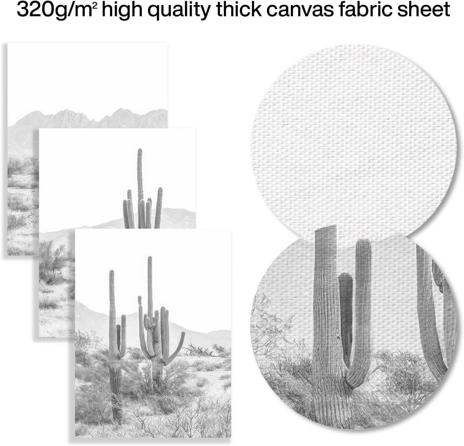 Schwarze weiße Kaktus Wüste Landschaft Leinwandbilder 12x16