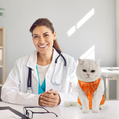 Katzenbody Erholungsanzug Kastration Spay Entwöhnung Leckschutz Suit
