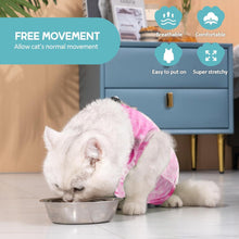 Katzenbody Erholungsanzug Modal Recovery Kastration Spay