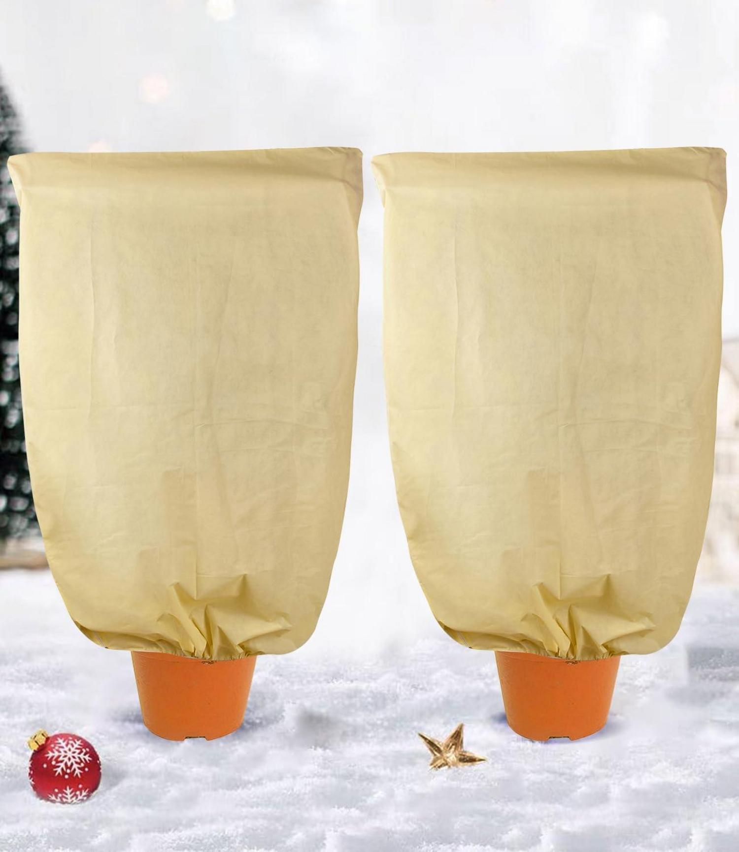 Pflanzenfrostschutz Vlies 80g/m² Winterschutz Tomaten Palmen 2