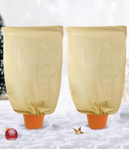 Pflanzenfrostschutz Vlies 80g/m² Winterschutz Tomaten Palmen 2