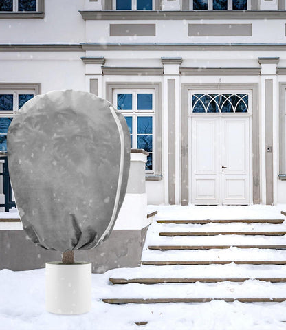 Pflanzenfrostschutz 50g Vlies 140x200cm Grau für Palmen