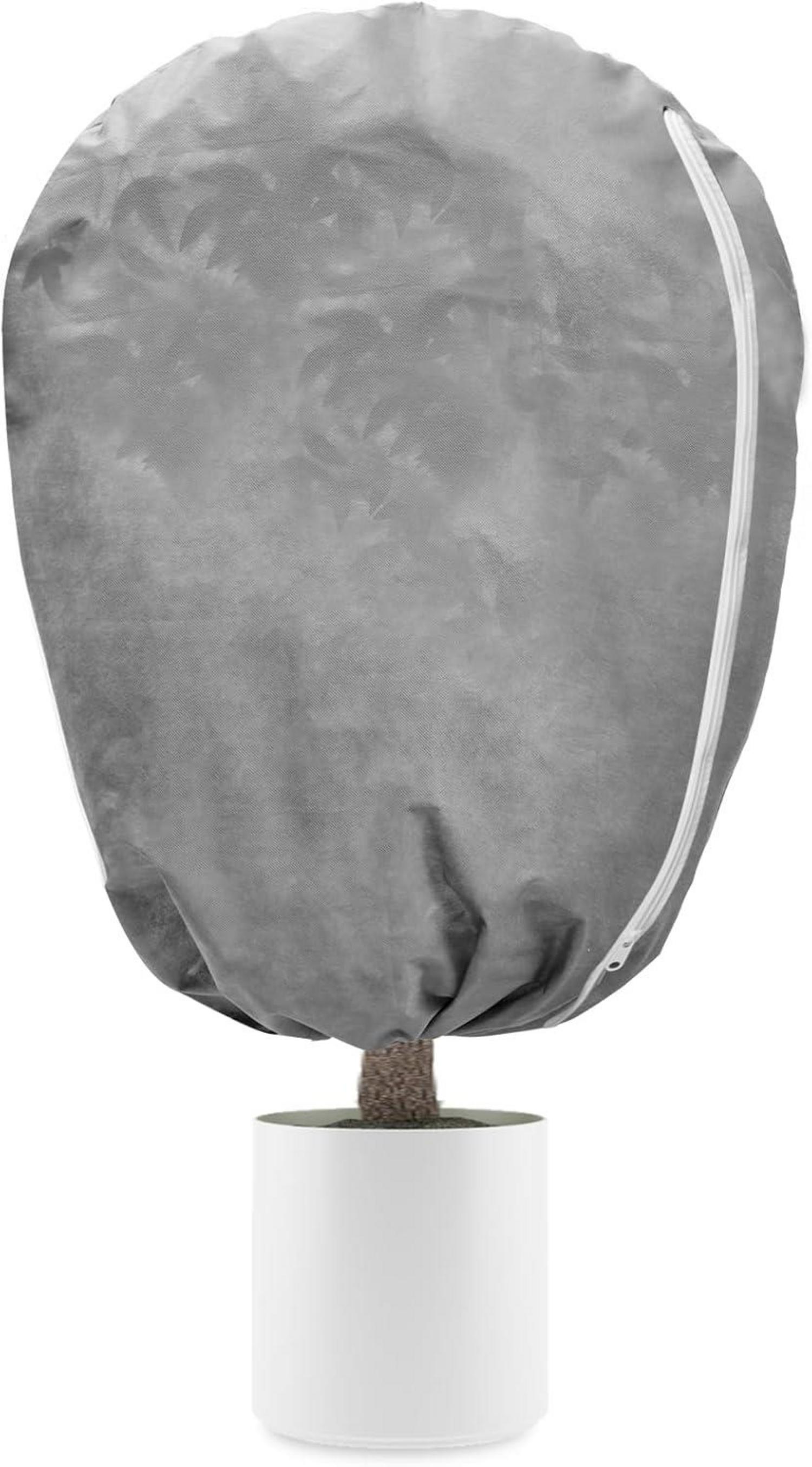 Winterschutz Pflanzen Kübelpflanzen Frostschutz Palmen Tomaten Oleander