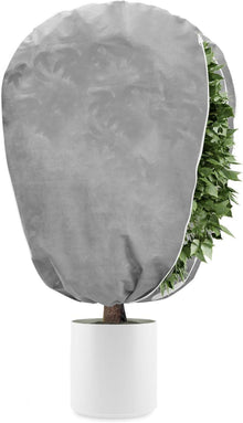 Pflanzenfrostschutz Vlies 50g Frostschutz Tomaten Palmen 100x120cm