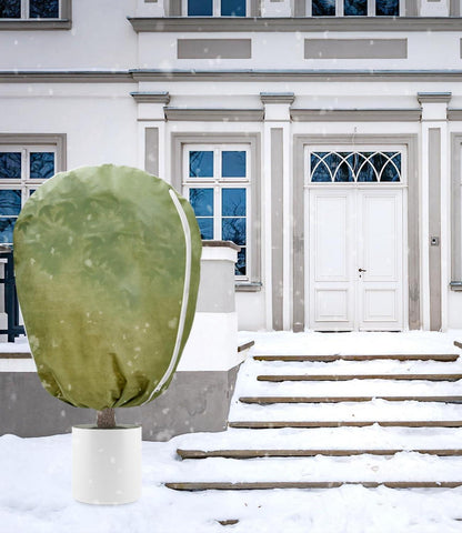 Pflanzenfrostschutz 50g Vlies Winter Kübelpflanzen Oleander