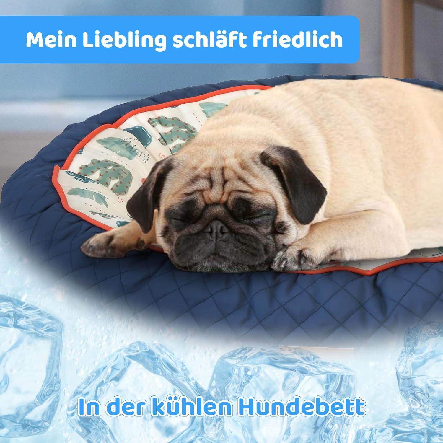 Rutschfestes Hundebett für kleine Hunde mit warmer & cooler Matte