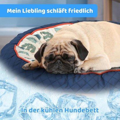 Rutschfestes Hundebett für kleine Hunde mit warmer & cooler Matte
