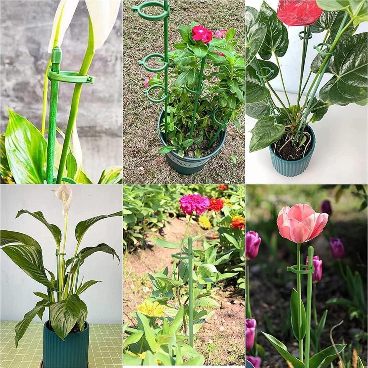 36 Pflanzenstäbe mit Verbinder und Karabiner, Gartenstäbe für Rankpflanzen
