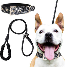 Verstellbares Hundehalsband und Leine Set für Mittlere Große