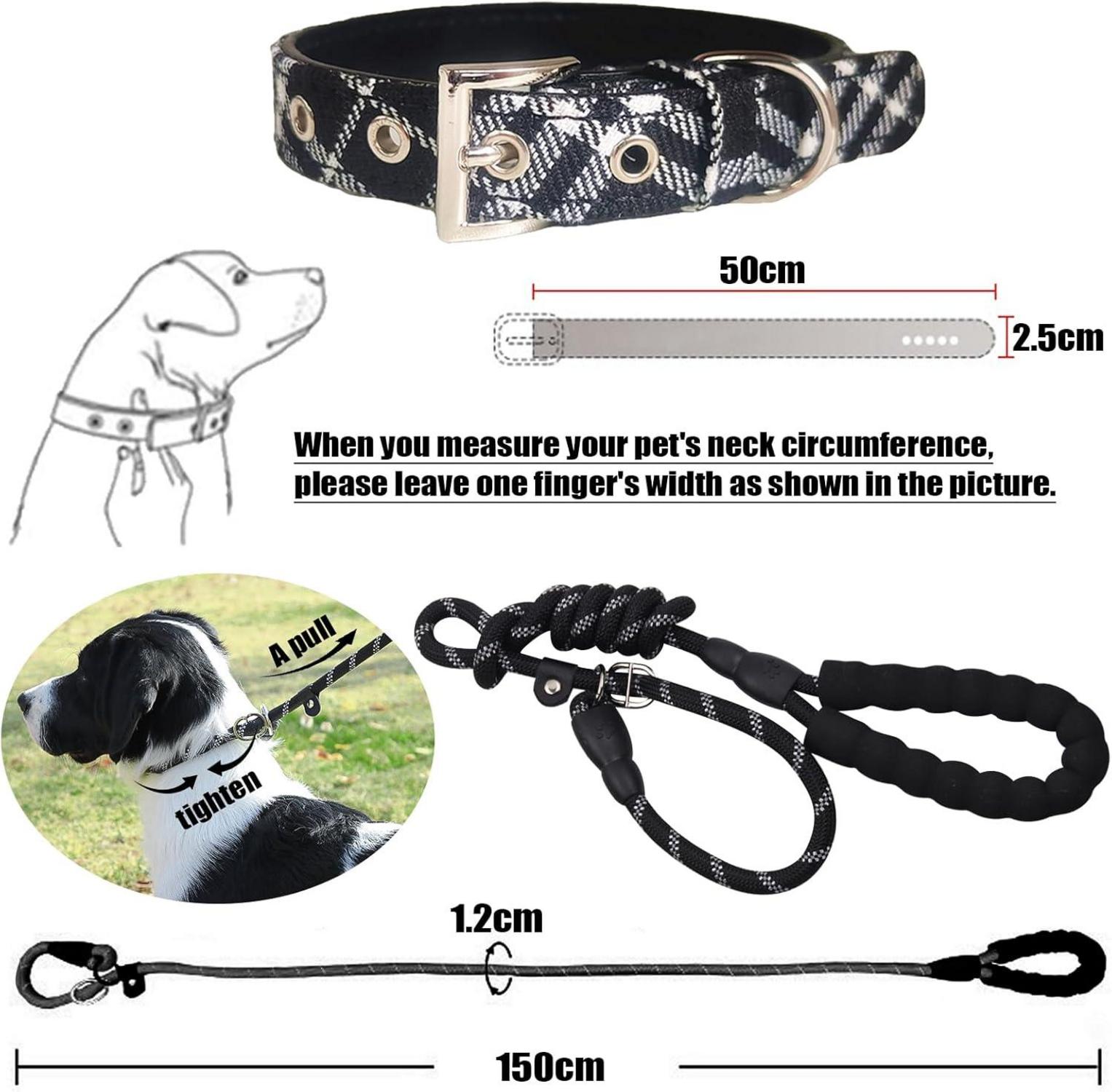 DKDDSSS 2 Stück Hundehalsband und Leine Set für mittlere