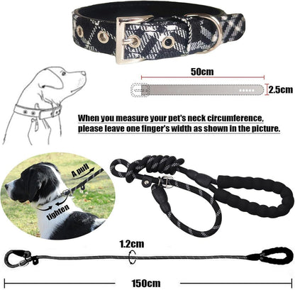 DKDDSSS 2 Stück Hundehalsband und Leine Set für mittlere