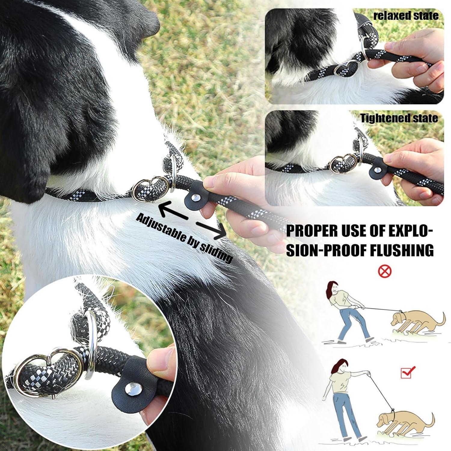 Hundehalsband Leine Set Verstellbar Gepolstert Schwarz