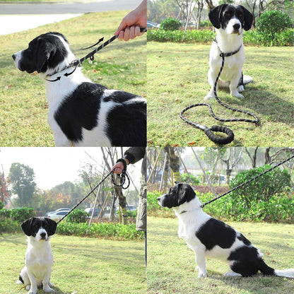 2 Stück Hundehalsband Leine Set für Mittlere Große Hunde Schwarz