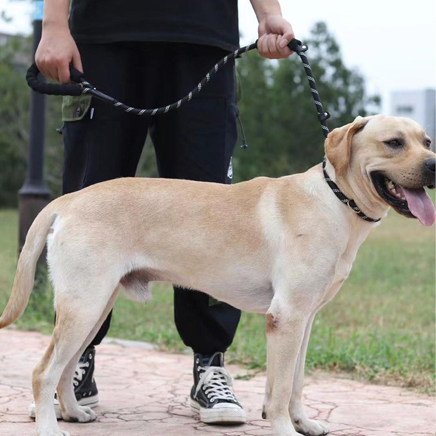 Hundehalsband Leine Set Verstellbar Gepolstert Schwarz