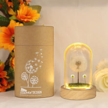 LED Lichterkette mit Echter Pusteblume im Glas - Geschenk