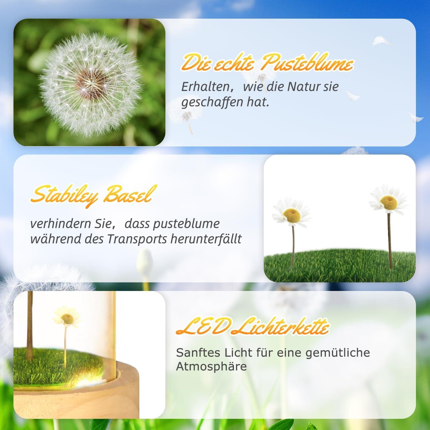 LED Pusteblume im Glas mit Lichterkette, Ewige Geschenke für