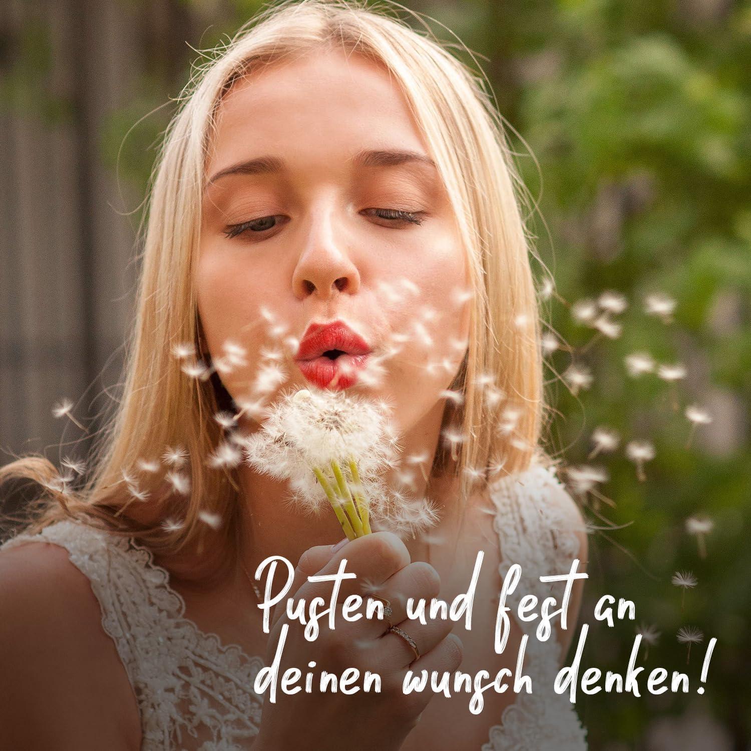 LED Pusteblume im Glas mit Lichterkette - Echte Blume, Geschenk für Frauen & Freundin