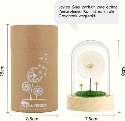 Wunscherfüller mit LED Lichterkette, Echte Pusteblume im Glas, Ewig