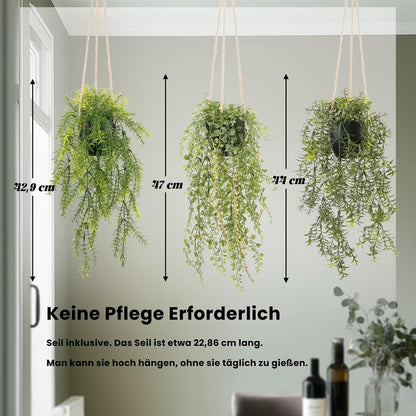 Künstliche Hängepflanzen 3er Set im schwarzen Topf, lebensecht & pflegeleicht