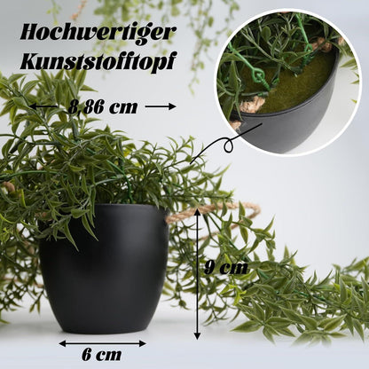 Künstliche Hängepflanzen 3er Set im schwarzen Topf, lebensecht & pflegeleicht
