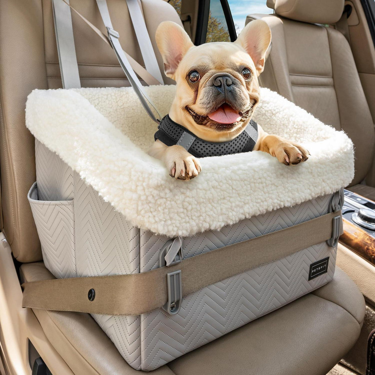 Hunde Autositz für kleine Hunde – Sicher & Komfortabel