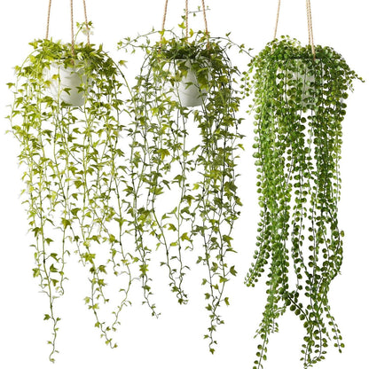 Künstliche Hängepflanzen im Topf, 3er Set, 94 cm, Weiß