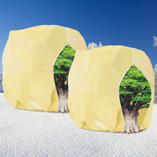 2er Set Pflanzenschutz Winter 250x360cm Frostschutz für Pflanzen