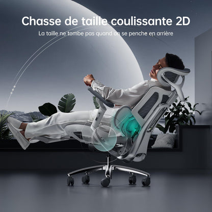 Ergonomischer Bürostuhl 3-Zonen-Lendenstütze 4D-Kopfstütze Grau