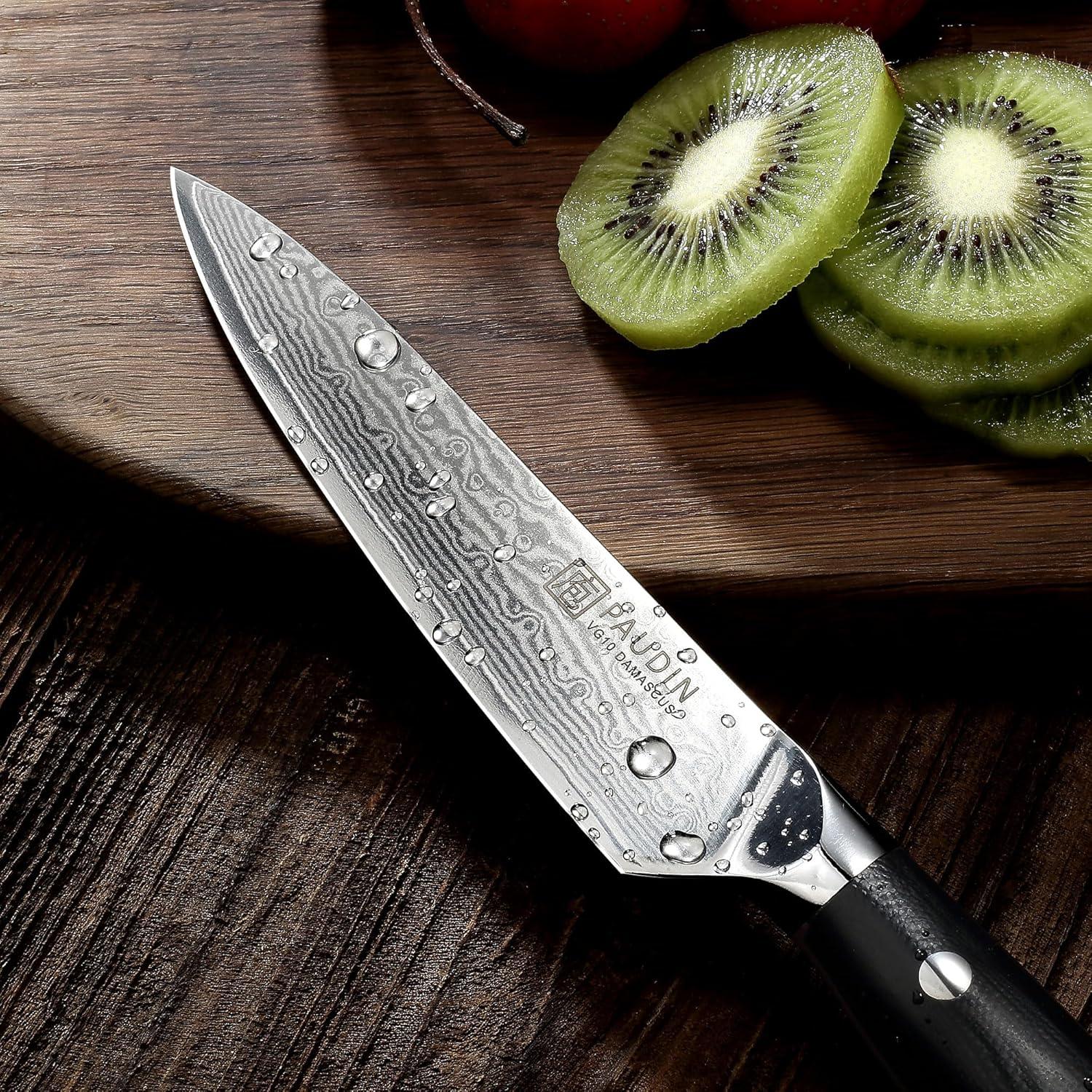 PAUDIN Damastmesser 13 cm Profi Allzweckmesser aus VG10