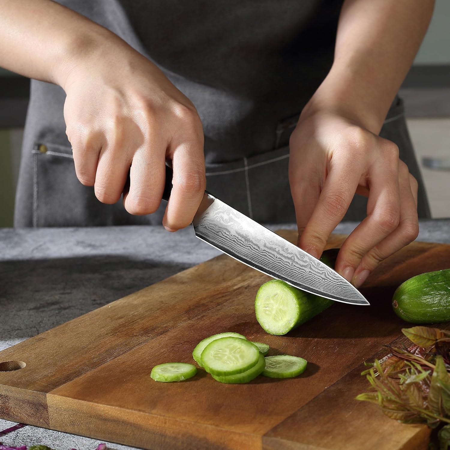 PAUDIN Damastmesser 13 cm Profi Allzweckmesser Japanischer Klinge G10-Griff