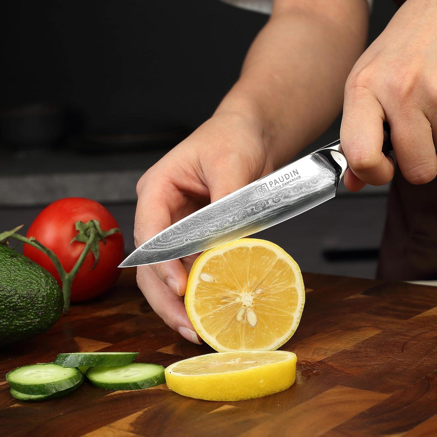 PAUDIN Damastmesser 13cm Profi Allzweckmesser scharfes Kochmesser G10-Griff