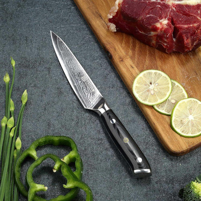 PAUDIN Damastmesser 13 cm Profi Allzweckmesser Japanischer Klinge G10-Griff