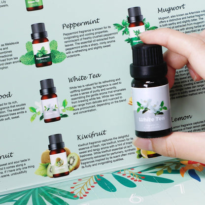 Ätherisches Öl Adventskalender 2024: 24 Tage - 10ml Duftöle - Weihnachtskalender