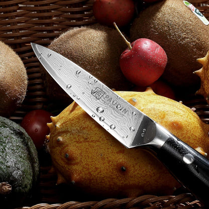 PAUDIN Damastmesser 9cm Gemüsemesser Obstmesser VG10