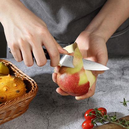 PAUDIN Damastmesser 9 cm - Gemüsemesser Obstmesser VG10 Profi-Küchenmesser G10-Griff