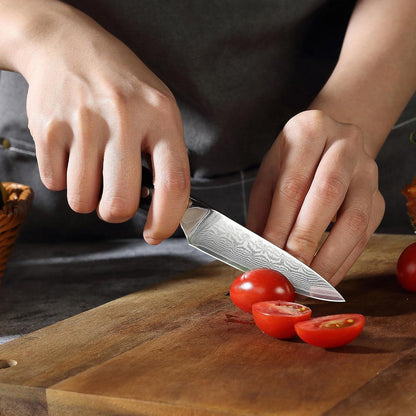 PAUDIN 9 cm Damastmesser VG10 Japanisch Gemüsemesser Schwarz G10