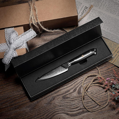 PAUDIN 9 cm Damastmesser VG10 Japanisch Gemüsemesser Schwarz G10