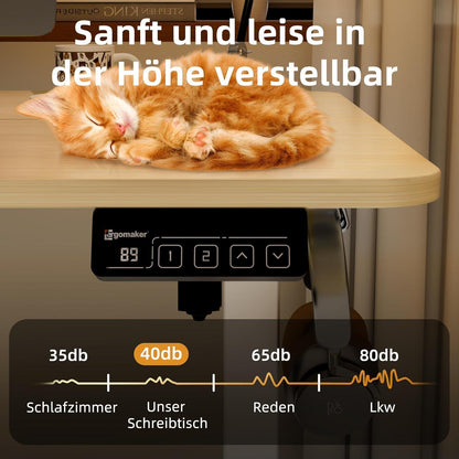Elektrischer Schreibtisch Eiche 110x60cm Höhenverstellbar