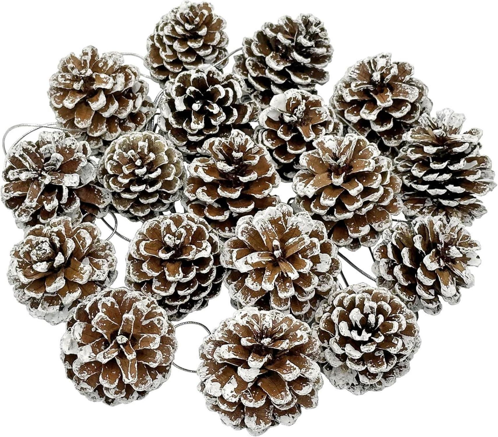 24er Set Tannenzapfen weiße Spitze 3-4cm für Weihnachtsbasteleien