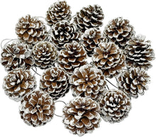 24er Set Tannenzapfen weiße Spitze 3-4cm für Weihnachtsbasteleien