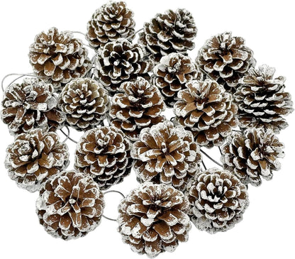 24er Set Tannenzapfen weiße Spitze 3-4cm für Weihnachtsbasteleien