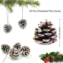 24 Stück Tannenzapfen mit weißer Spitze 3-4cm - Deko